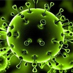 فيروس كورونا.. هل سيقتل ملايين البشر؟