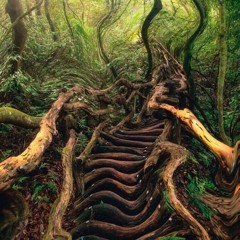 stuck in a dream_
