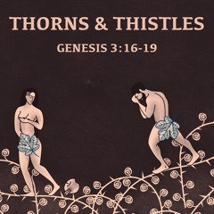 494 Thistles And Thorns (Genesis 3:16-19) Sermon