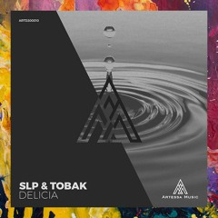 PREMIERE: SLP & TOBAK — Delicia (Spieltape Remix) [Artessa Music]