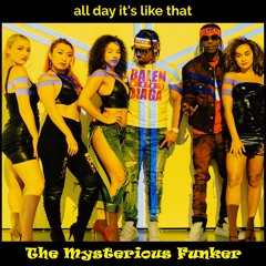 The Mysterious Funker - All Day It's Like That