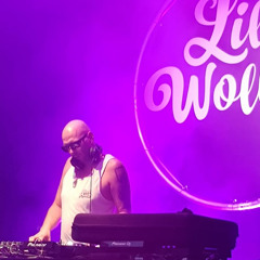 Shawn Stein @ Lila Wolken Open Air 22.08.2020 n.Chr.