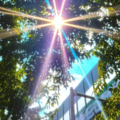 pucca thai - en el parque