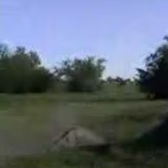 twinpole3