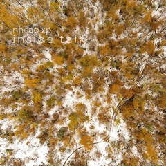 Fighting The Wrong Battle