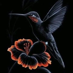 شوق وحنين ♡ 1