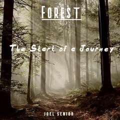 Part 1: Forest - The Start of a Journey (FULL ALBUM)