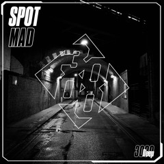 Spot - Mad
