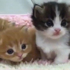 dime si también lo sientes (prod. by sunglao)