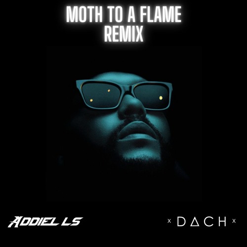Moth to a flame the weeknd. Swedish house mafia and the weeknd moth to a flame. Мотылек и свеча. Ночные насекомые. Мотыльки на свет.