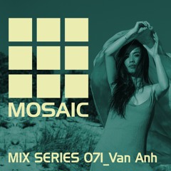 Mosaic Mix Series 071_Van Anh