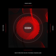 Walking Alone (Original Mix)