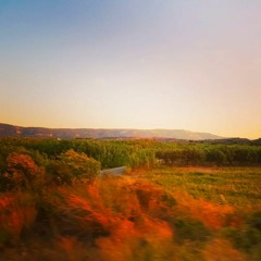 Sunset Drive - Moritz Michelson