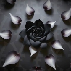 Yutaka Fontaine - Twisted Petal