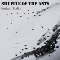 Shuffle Of The Ants