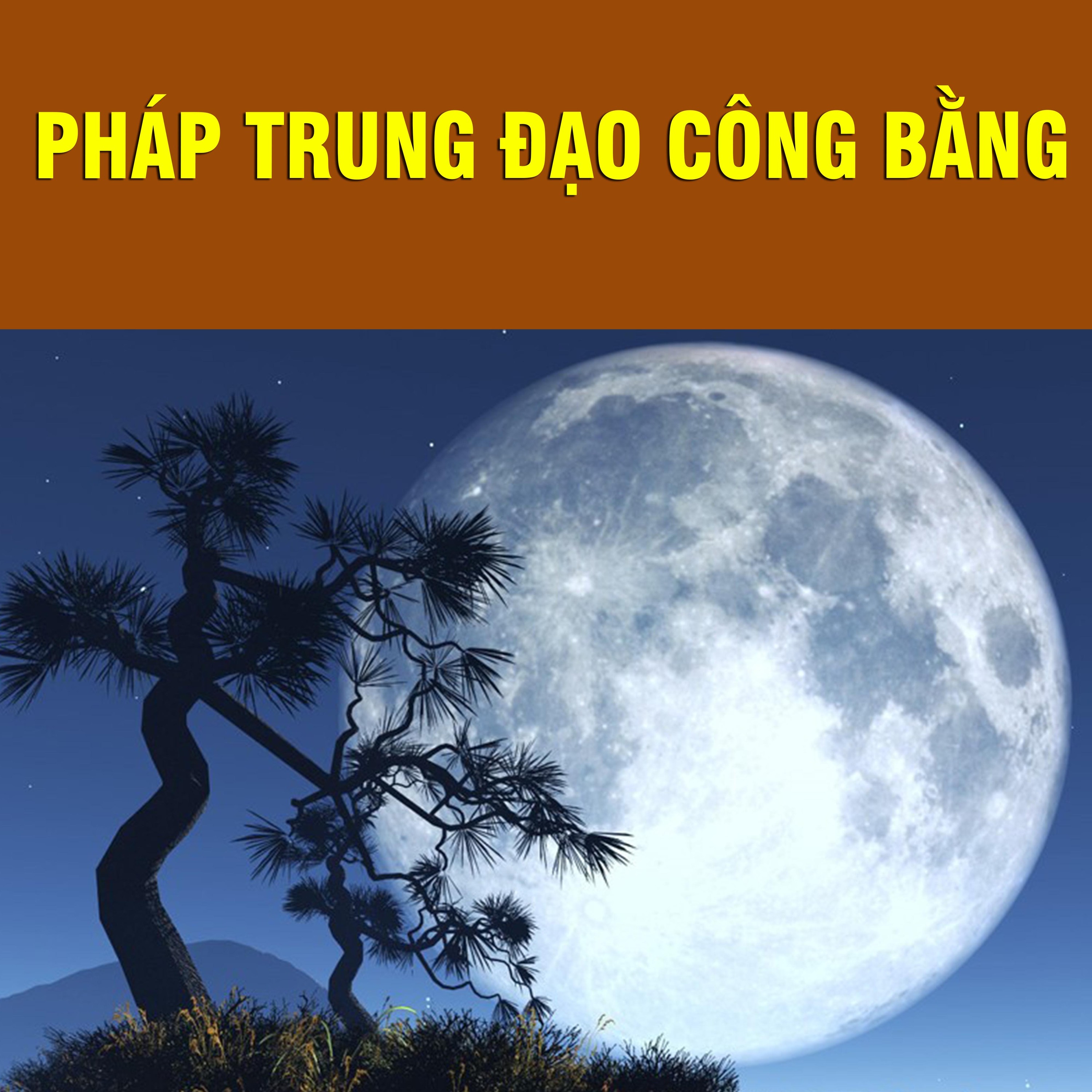 Thích Bảo Nguyên