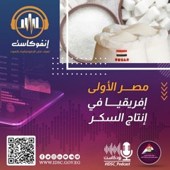 إنفوكاست - مصر الأولى إفريقيا في إنتاج السكر
