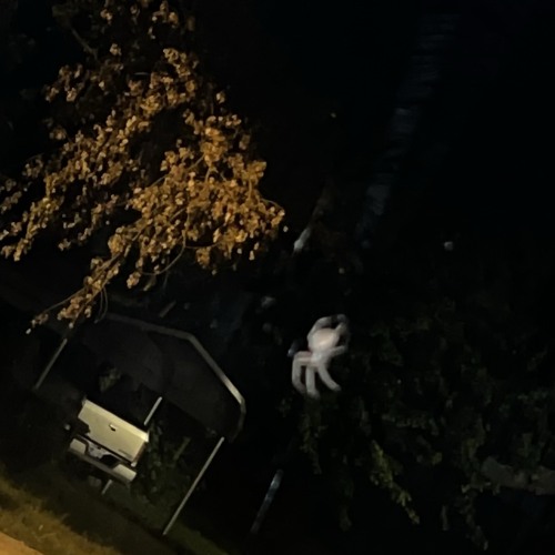 Need2Know [prod. ⛧SA♱ANiC+DiAM0NDS⛧]