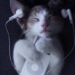 猫吸い