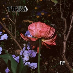 Fly ~ 24.03.2021