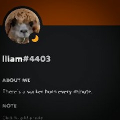 I LOVE LLIAM