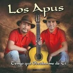 Los Apus del Perú / No debí conocerte / vídeo Oficial 2019 / Tarpuy Producciones