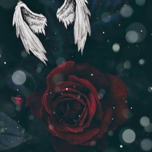 sinnattuni najortuarumaarpugut Lucy