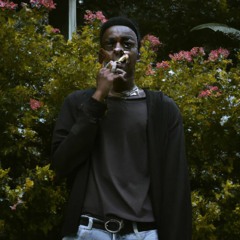 i hate that i love you p. rodz