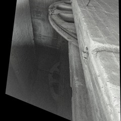 THREESIXNINE - SURFACE DWELLERS