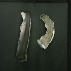 BJ Holy w/ Scorpio Red (12.11.2025)