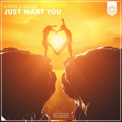 Kamix & Sirjoe - Just Want You