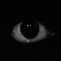 50 (Lepra Paranoia leak)