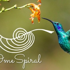 COLIBRI | Medicine Music | Guitar + Djembe + Voice