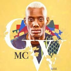 MC GW - Swing das Diferentonas(Jayvan Almeida & Rafael Rocha Remixxx )