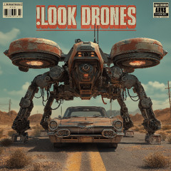 Look…Drones!