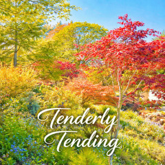 Tenderly Tending