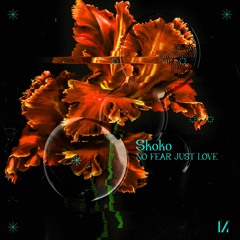 No Fear Just Love (feat. IVNA)