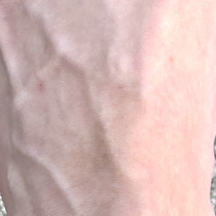 Stream T music | Listen to songs, albums, playlists for free on