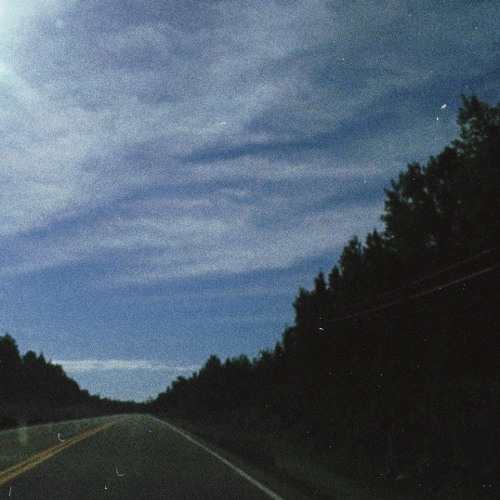 Pines [DEMO]