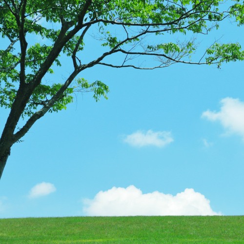 Light Breeze