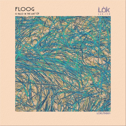 Premiere: B1 - Floog - Beam of Light [LOKLTD001]
