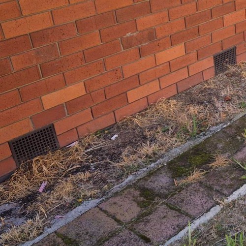 I'm Concerned And I Feel I Have Good Reason To Be Concerned