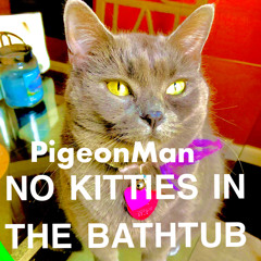 No Kitties In The Bathtub