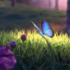 2 Oruguitas - Nat Freaner & Libby Quibell Encanto COVER