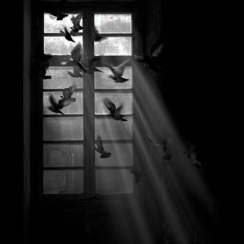 هوشنگ ابتهاج  من‌ نمیدانستم‌ معنی‌ هرگز‌ را