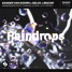 Sander Van Doorn X Selva X Macon - Raindrops (feat.Chacel) (Jöhn Lutz Remix)