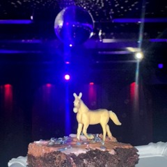 Fancy Shews! Live at Horsemeat Disco Berlin: A big bumper warm up sesh