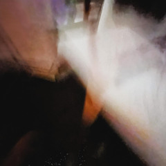 Evidence #ꪑꪗꪻꫝꫀꪮ᥅ꪗꪜ꠸ᦓ꠸ꪮꪀ