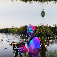 certified birdwatcher vol. 1 (Quetzal out now 📀)