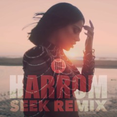 Dhurata Dora - Harrom (Seek Remix)
